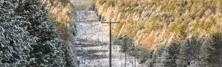 Fresh Forest Snow – Keene, NH