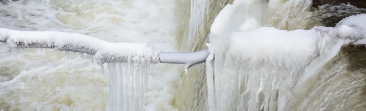 Icy Trees at the Ashuelot River Dam, Keene, NH