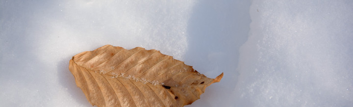 Sub-Zero Winter Hike