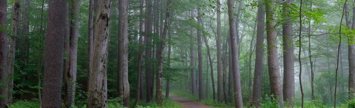 Ashuelot River Park Panoramas