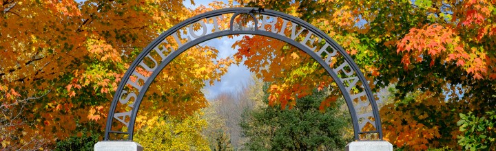 Autumn Foliage – Keene, NH