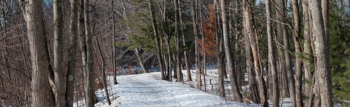 Icy Ashuelot River Park Trail, Keene, NH