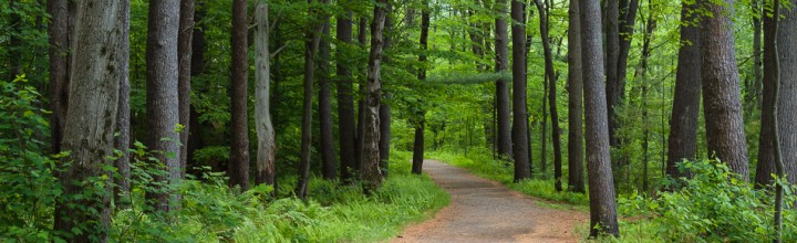 New Ashuelot River Park Greens