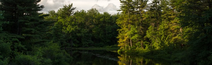 Morning Walk Along the Ashuelot River