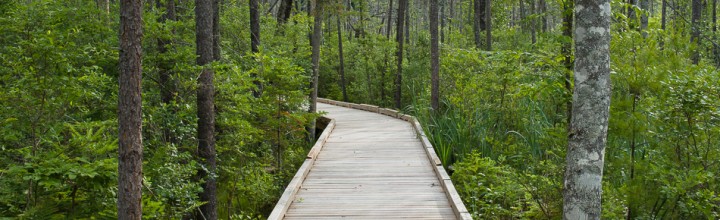 Tenant Swamp, Keene, NH